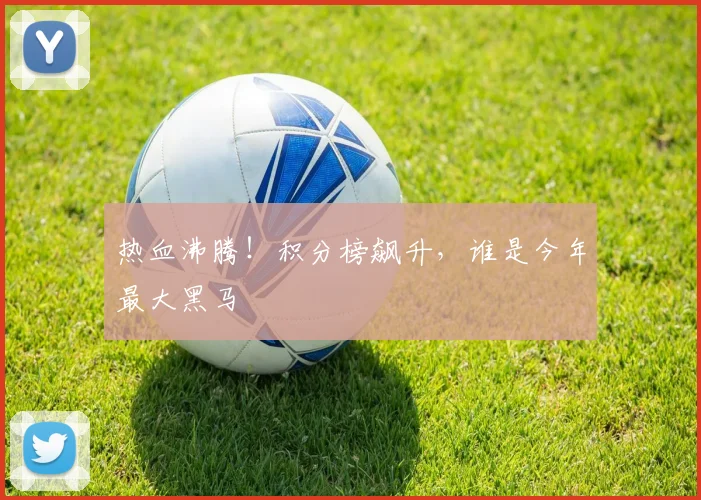 热血沸腾！积分榜飙升，谁是今年最大黑马