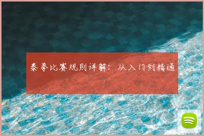 泰拳比赛规则详解:从入门到精通