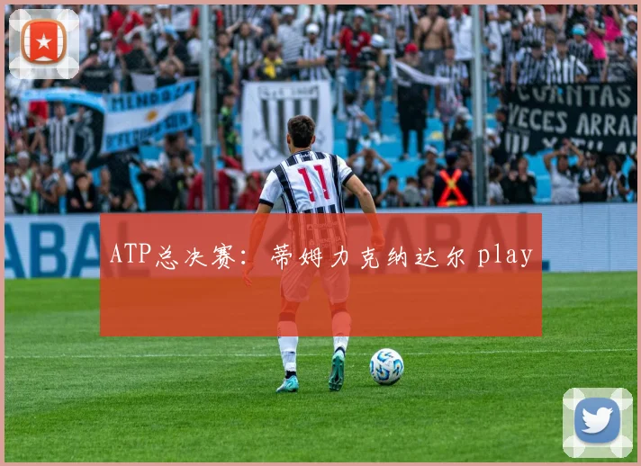 ATP总决赛：蒂姆力克纳达尔 play