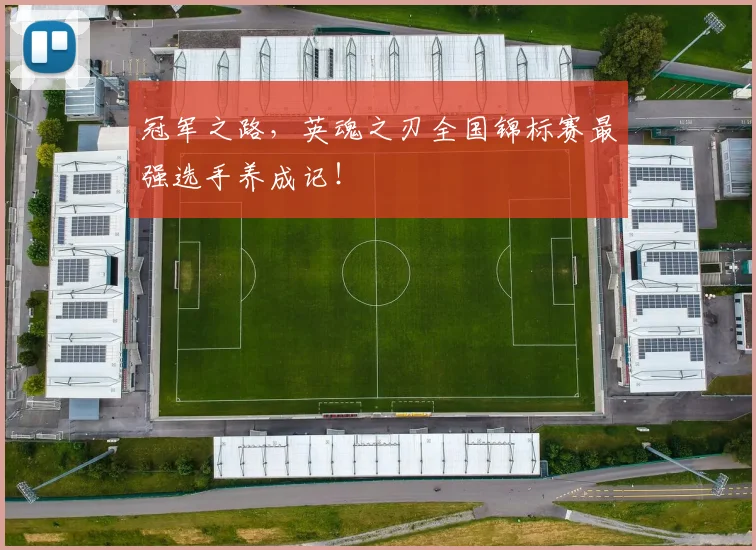 冠军之路，英魂之刃全国锦标赛最强选手养成记！