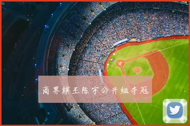 商界棋王陈宇公开组夺冠