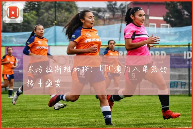 东方拉斯维加斯：UFC澳门八角笼的格斗盛宴