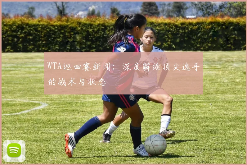 WTA巡回赛新闻:深度解读顶尖选手的战术与状态